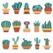 Cactus ans Succulents in Flower Pots set