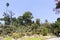 Cactus area and other desert plants section from Naples botanic garden