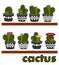Cactus arrangements