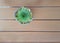 Cactus background repeated pattern wooden table