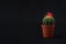 Cactus on a black background with space for text