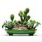 Cactus Bonsai On Green Terrarium: Akihiko Yoshida Inspired Symmetrical Arrangement