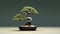 Cactus Bonsai Tree: Meticulous Photorealistic Still Life With Pine Cones