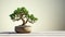 Cactus Bonsai Tree: Minimalist 3d Render For Desktop Wallpaper