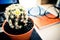 Cactus, book and the glasses. conceptual photo about knowledge a