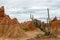 Cactus in bright orange canyon in Tatacoa desert