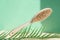 Cactus bristle brush for anti-cellulite massage on a green background. The concept of body care. Spa, eco beauty