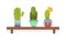 Cactus or Cacti as Plant with Leafless, Spiny Stem Growing in Flowerpot Rested on Wooden Shelf Vector Illustration