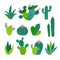 Cactus cacti mexican with flowers vector set