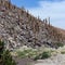 Cactus Canyon - Atacama Desert - Chile