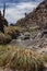 Cactus Canyon in the Atacama Desert - Chile