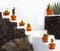 Cactus clay pots in Lanzarote over white stairs