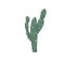 Cactus clip art digtal illustration on white background