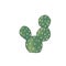 Cactus clip art digtal illustration on white background