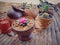 Cactus in coconut shell pot