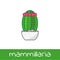 Cactus collection flat isolated vector of notocactus opuntia cereus mammillaria in pot homeolant