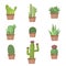 Cactus collection in vector illustration