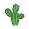Cactus color line icon. Kind of a plant adapted to hot, dry climates. Pictogram for web page, mobile app, promo. UI UX GUI design