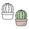 Cactus coloring book page. Cactus in a pot. Isolat