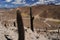 Cactus on the colourful valley of Quebrada de Humahuaca in Jujuy Province, northern Argentina