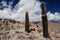 Cactus on the colourful valley of Quebrada de Humahuaca in Jujuy Province, northern Argentina