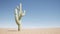 Cactus in the desert against the background of a clear blue sky the concept of loneliness and tranquility 3d