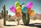 Cactus in desert with Balloons
