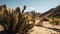 Cactus in the desert with mountain ranges and a blue sky