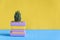 Cactus on the desk with yellow wall background