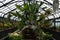 Cactus Display at Floral Showhouse in Niagara Falls, Ontario, in Canada