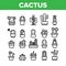 Cactus Domestic Plant Collection Icons Set Vector