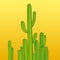 Cactus drawing in simple form. Isolated on orange.