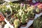 Cactus echinopsis chamaecereus plant close up in flowerpot