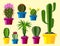 Cactus flat style nature desert flower green cartoon drawing graphic mexican succulent and tropical plant garden art