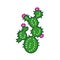 Cactus flower color line icon. Type of cacti. Cactus blooms depends on its age and the care it gets. Pictogram for web page,