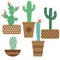 Cactus flower in pots for flowers and plants. Bright cacti, aloe leaves, exotic cacti plants juicy summer desert tropical flora