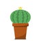 Cactus with a flower on top in an orange clay pot