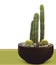 Cactus Flowerpot