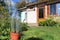 Cactus in flowerpot against blurred rural house. Selective focus.