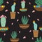 Cactus flowers in ceramic pots with ornaments. Bright cacti, aloe leaves, exotic cacti plants juicy summer desert tropical flora