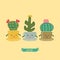 Cactus flowers family