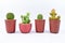 Cactus, Four different varieties of cactus in pots on white background