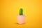 Cactus front view in ceramic pot Fashion Design. Cacti Minimal summer still life concept. Trendy Bright Color.