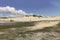 Cactus - Genipabu beach and dunes in Natal, RN, Brazil