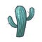 Cactus green icon, decorative floral tropical houseplant