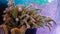 cactus growing in pot, beautiful natural cactus tapestry with colorful background