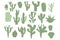 Cactus hand drawn set isolation on white background. Mexican cacti and aloe. Exotic various succulent plants collection Vector