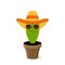 Cactus in the hat