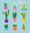 Cactus home plants in pots with flowers set, variety of decorative cacti stickers vector Illustrations