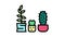 cactus house plant color icon animation